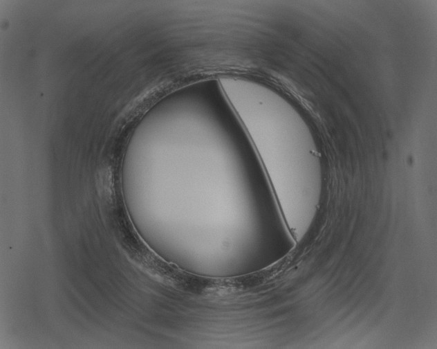 X0000078290211200611031000