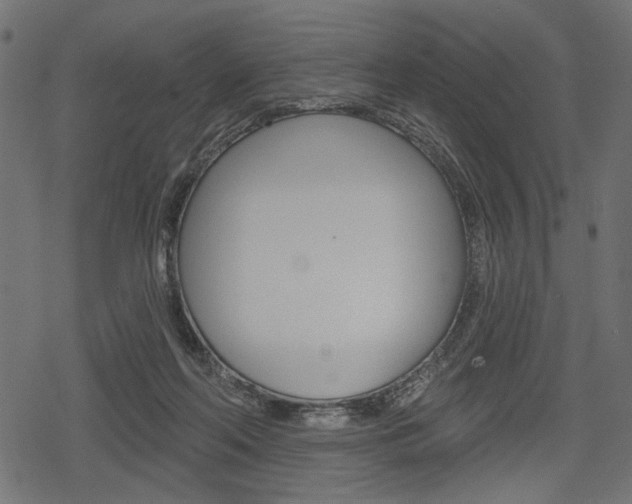 X0000078290214200611031000