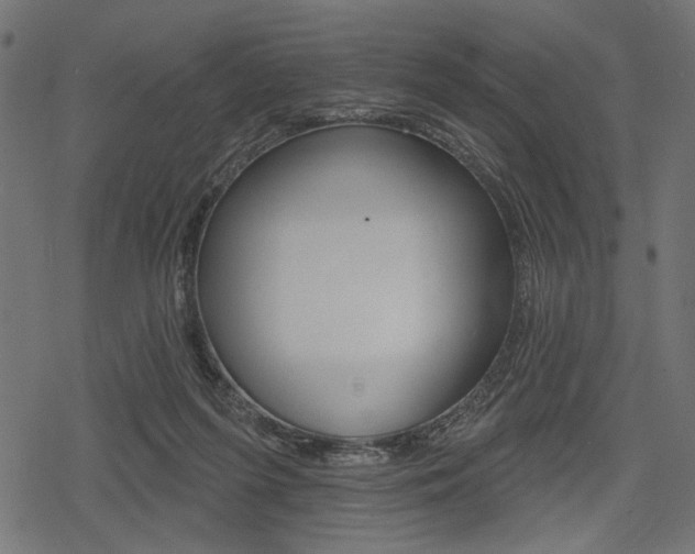 X0000078290215200611031000