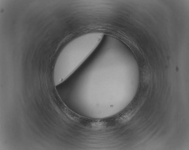 X0000078290216200611031000