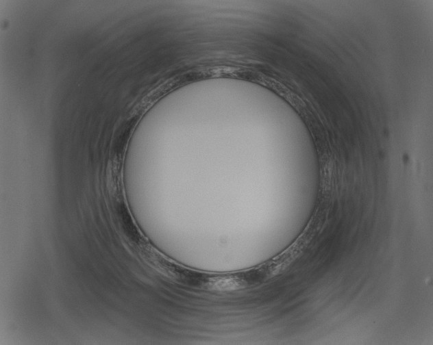 X0000078290218200611031000