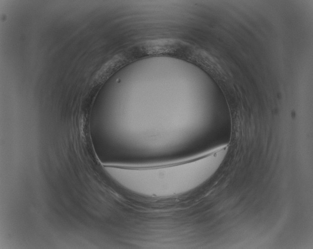 X0000078290219200611031000