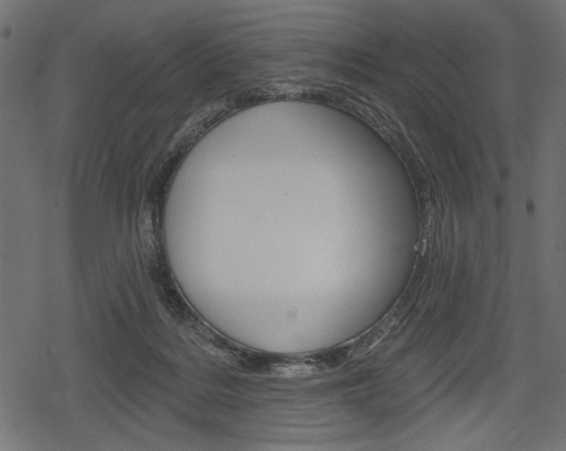 X0000078290220200611031000