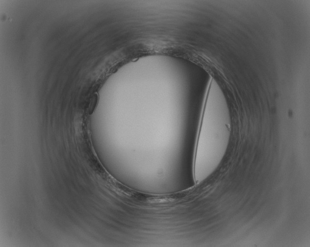 X0000078290221200611031000