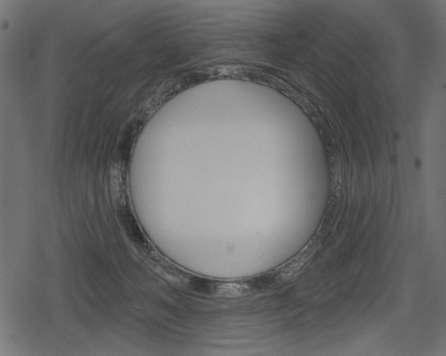 X0000078290222200611031000