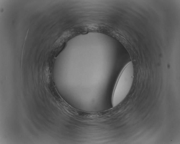 X0000078290223200611031000