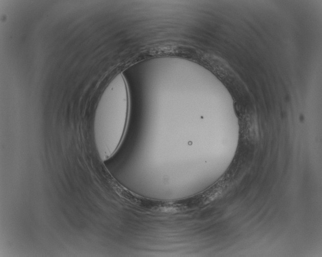 X0000078290224200611031000