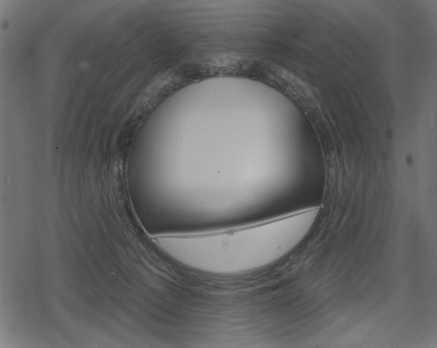 X0000078290225200611031000