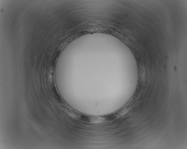 X0000078290226200611031000