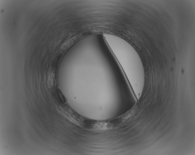 X0000078290227200611031000