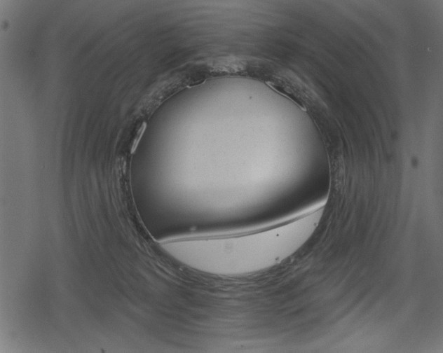 X0000078290229200611031000