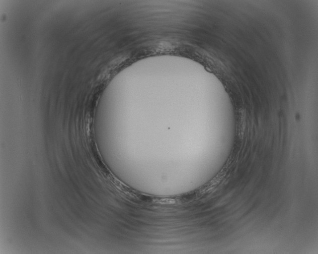 X0000078290230200611031000