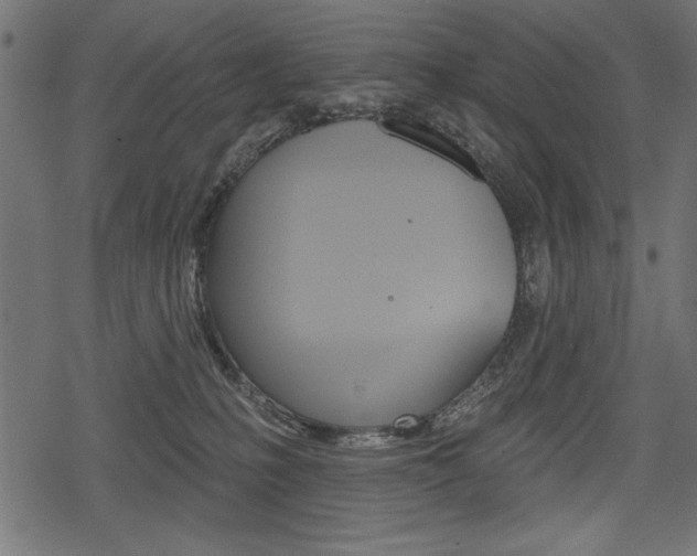 X0000078290231200611031000