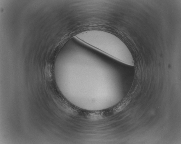 X0000078290232200611031000