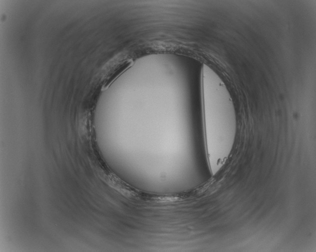 X0000078290233200611031000