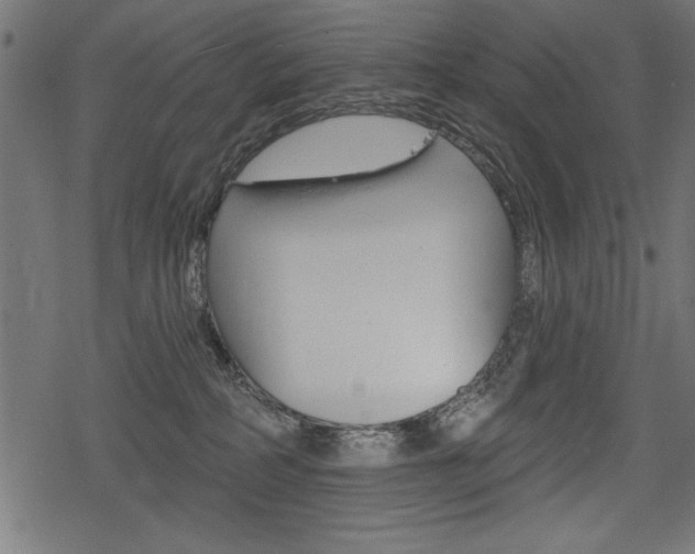 X0000078290234200611031000