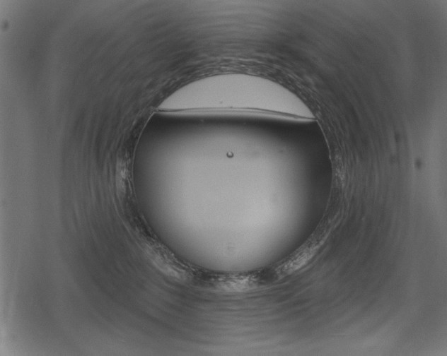 X0000078290235200611031000