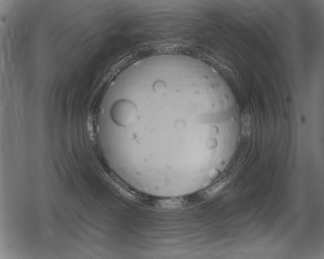 X0000078290238200611031000