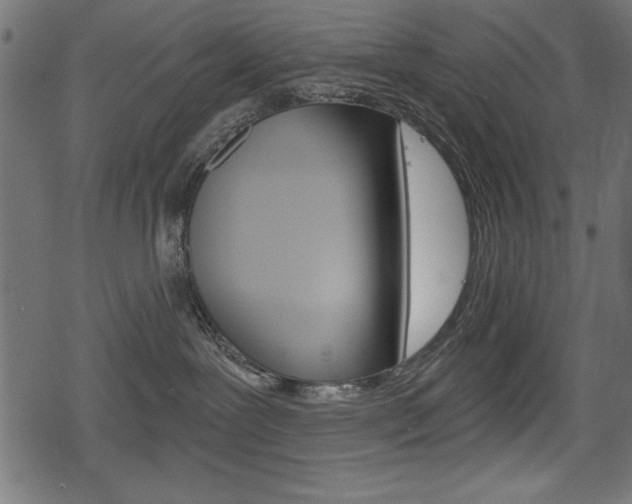 X0000078290239200611031000