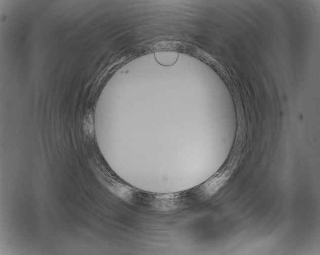 X0000078290240200611031000