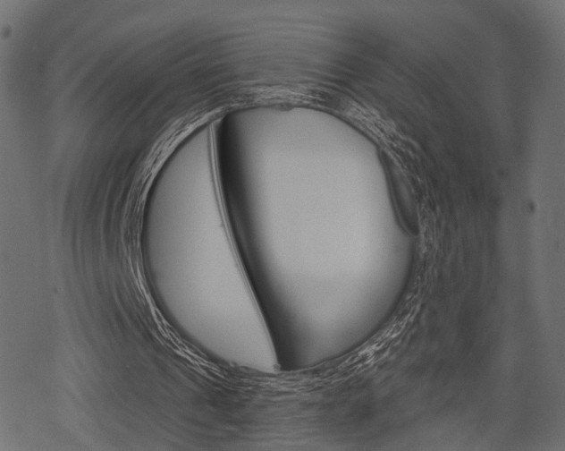 X0000078290241200611030959