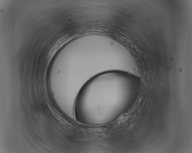 X0000078290242200611030959