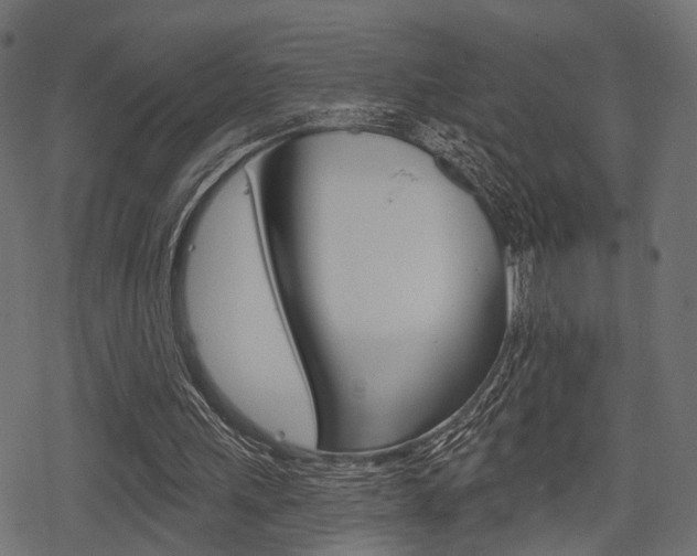 X0000078290243200611030959