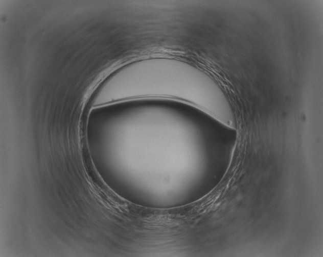 X0000078290244200611030959