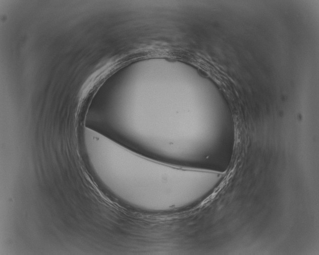 X0000078290245200611030959