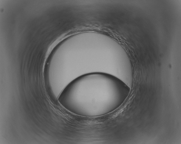 X0000078290246200611030959