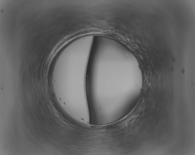 X0000078290247200611030959