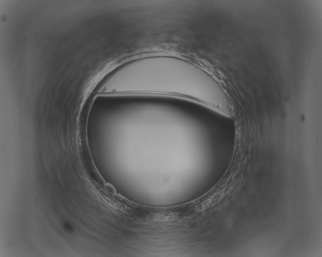 X0000078290248200611030959