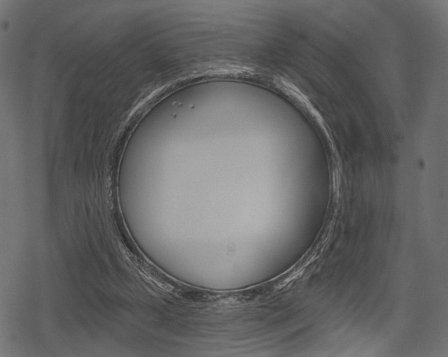 X0000078290249200611030959