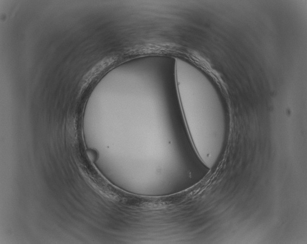 X0000078290250200611030959