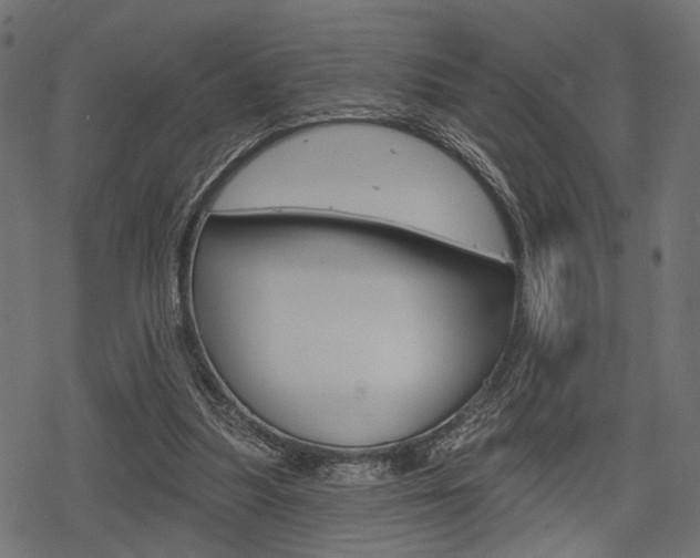 X0000078290251200611030959