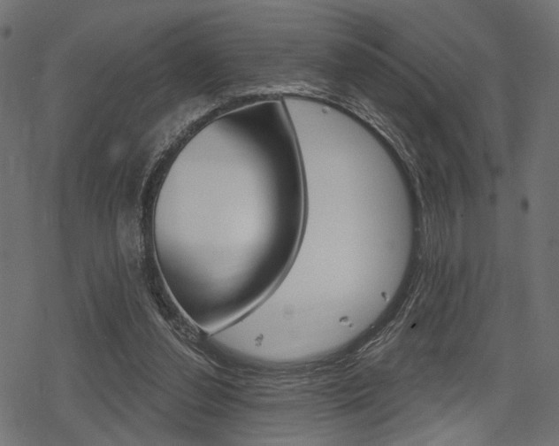 X0000078290252200611030959