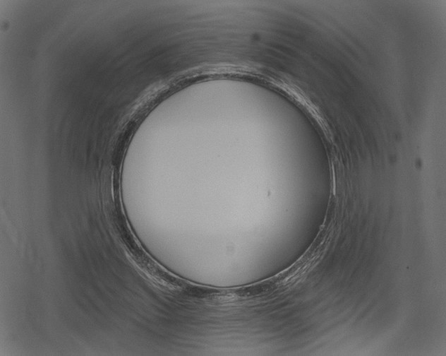 X0000078290253200611030959