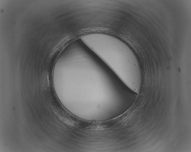 X0000078290254200611030959