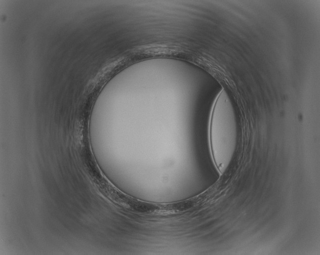 X0000078290255200611030959