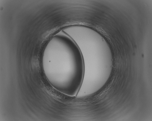 X0000078290256200611030959