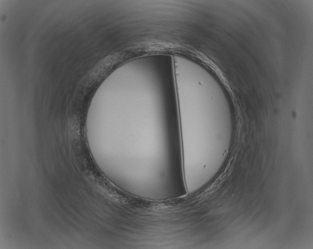 X0000078290257200611030959