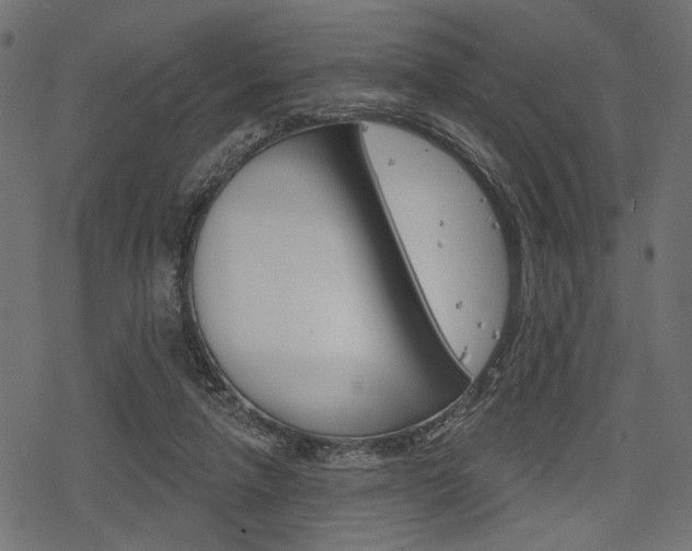 X0000078290258200611030959