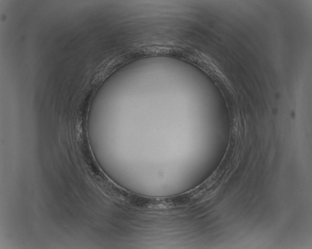 X0000078290259200611030959