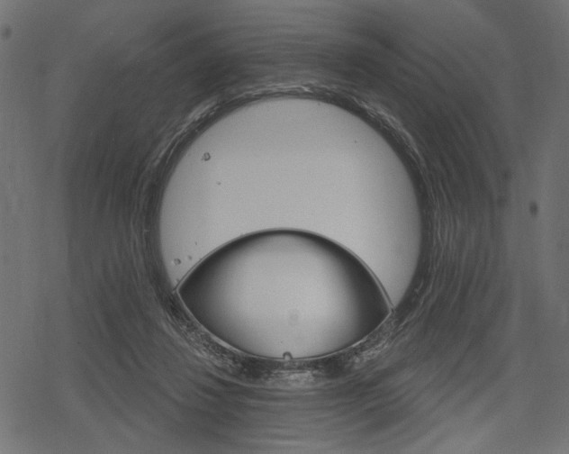 X0000078290260200611030959