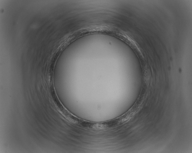 X0000078290261200611030959