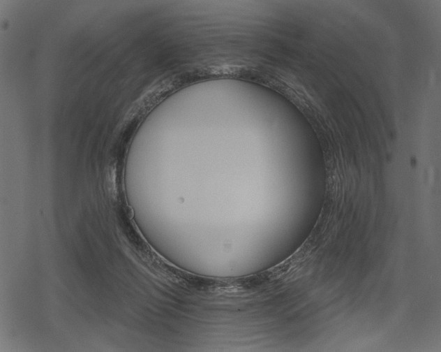 X0000078290262200611030959