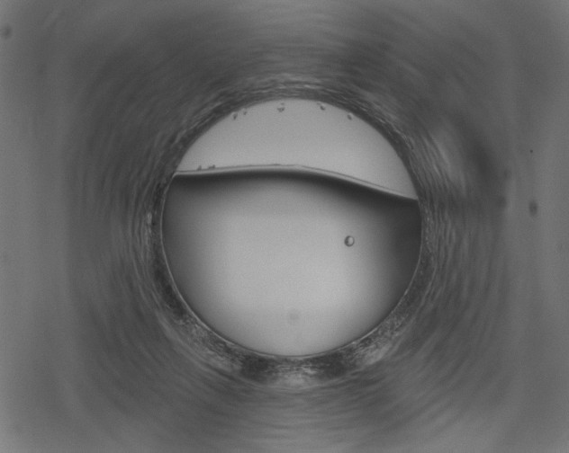 X0000078290263200611030959