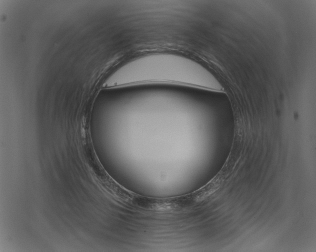 X0000078290264200611030959