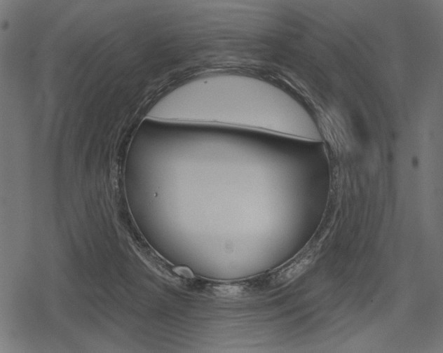 X0000078290265200611030959