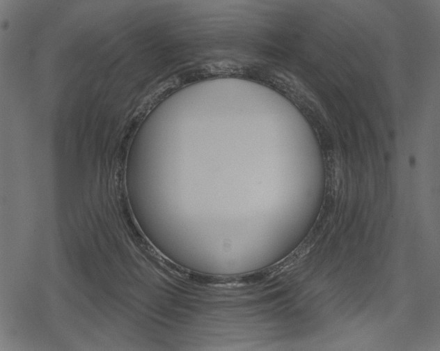 X0000078290266200611030959